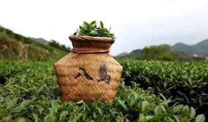 风云闽商 | 八马茶业IPO,牵出500亿泉州“富豪圈”!一片茶叶撬动10亿生意经